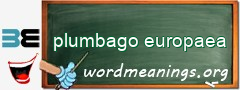 WordMeaning blackboard for plumbago europaea